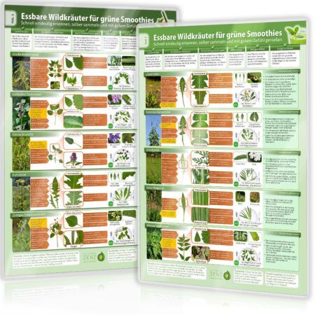 [2er Set] Essbare Wildkräuter für Grüne Smoothies (DINA4) Erkennungskarten Teil 1 und Teil 2