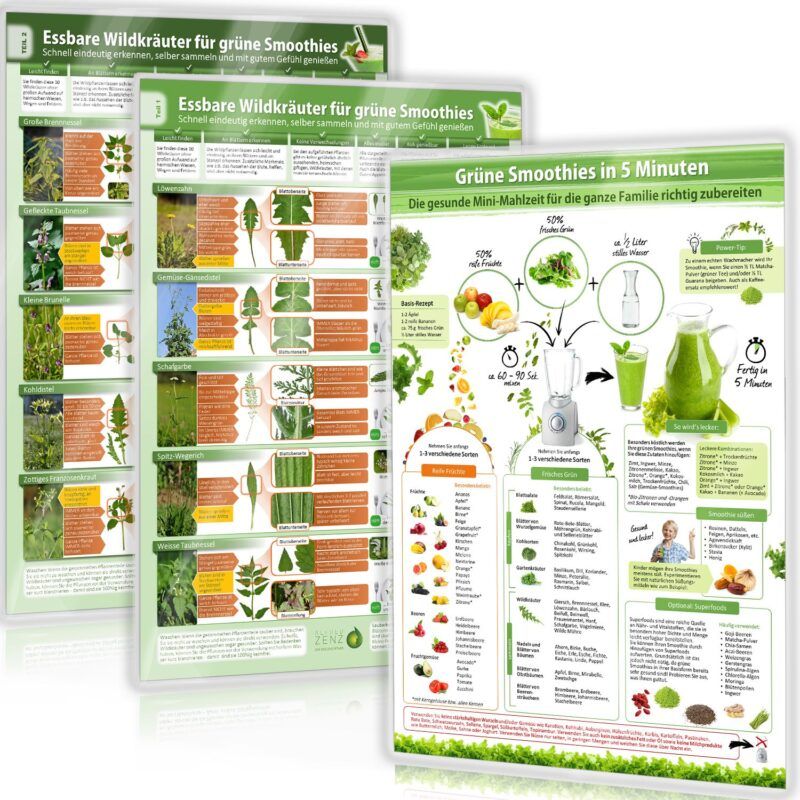 [3er Set] Essbare Wildkräuter für Grüne Smoothies (DINA4) Teil 1 & 2 und Grüne Smoothies in 5 Minuten