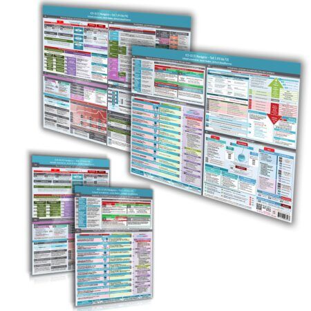 [4er Set] ICD-10 (F) Navigator (DINA4) + Wandposter (DINA2) - Teil 1 & 2 (F0 bis F9)