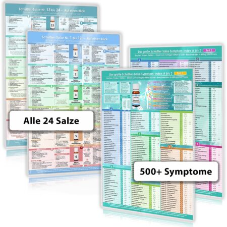 [4er Set] Das komplette Schüßler-Salze-System für Praxis und Alltag