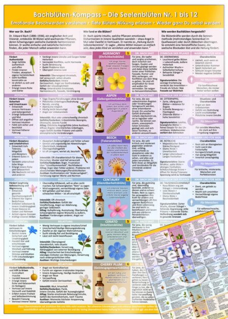Bachblüten-Kompass Teil 1 – Die Seelenblüten Nr. 1 bis 12 auf einen Blick