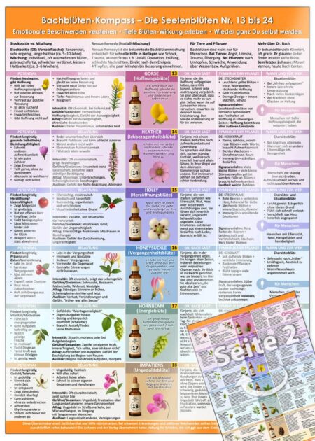 Bachblüten-Kompass Teil 2 – Die Seelenblüten Nr. 13 bis 24