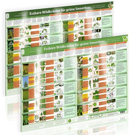 [2er Set] Essbare Wildkräuter für Grüne Smoothies Poster (DINA2) Teil 1 & 2